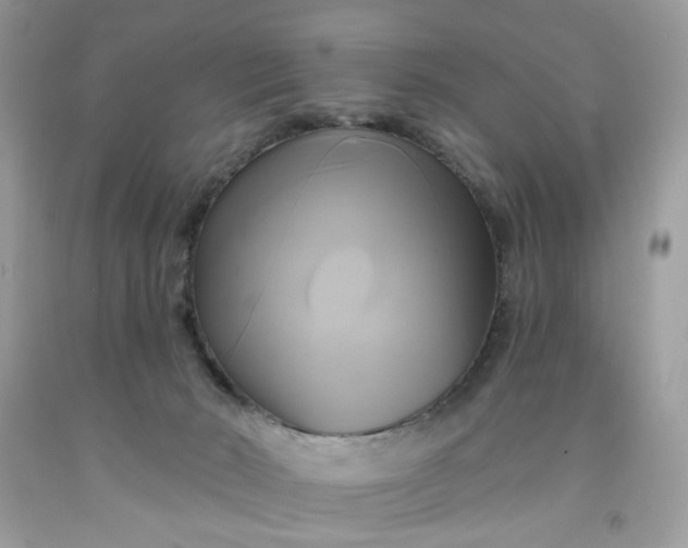 X0000091590030200709051131