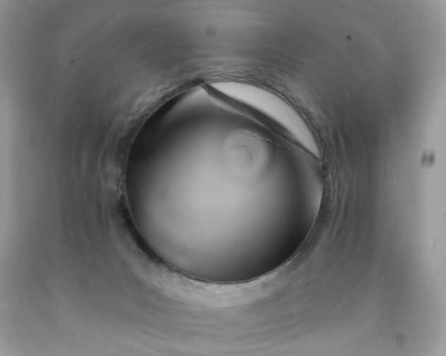 X0000091590031200709051131