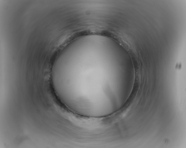 X0000091590032200709051131