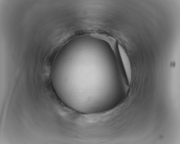 X0000091590033200709051131