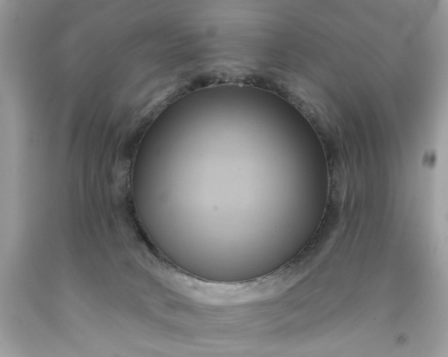 X0000091590034200709051131