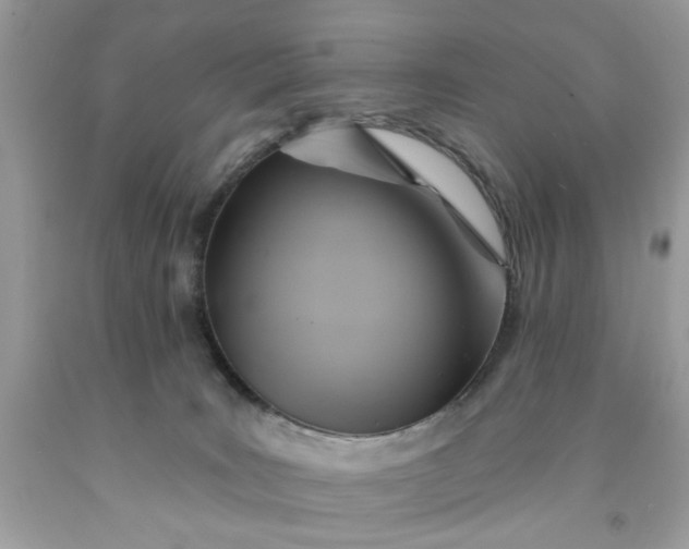 X0000091590035200709051131