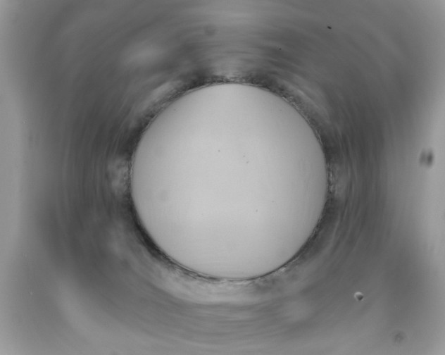 X0000091590036200709051131