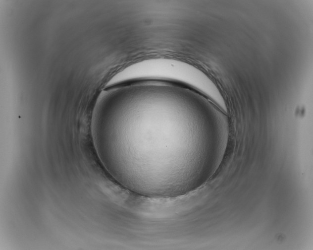 X0000091590037200709051131