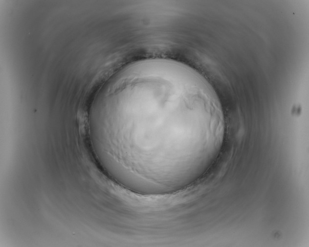 X0000091590038200709051131