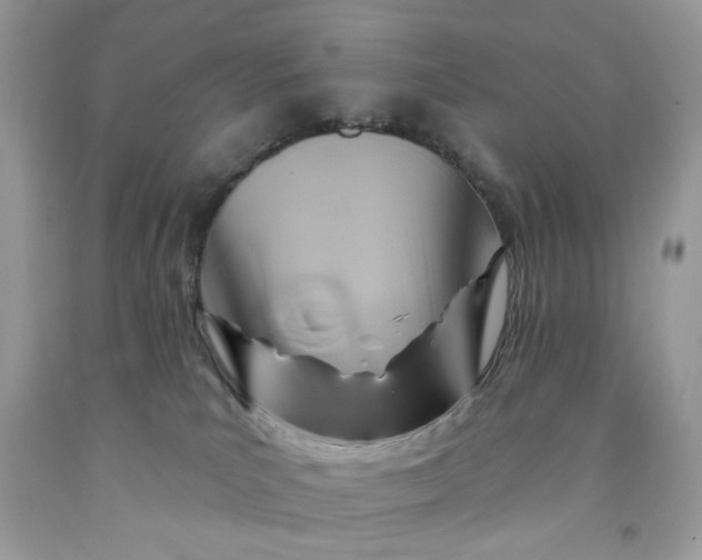 X0000091590039200709051131