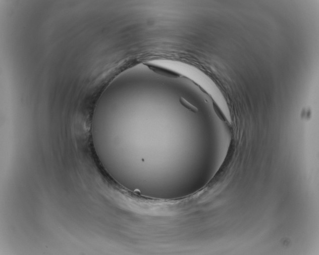 X0000091590040200709051131