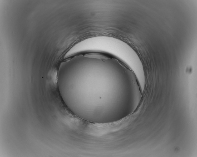 X0000091590041200709051131