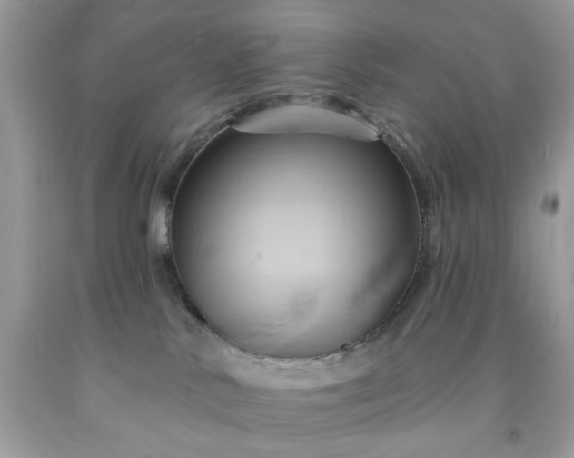 X0000091590042200709051131