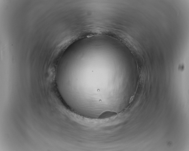 X0000091590043200709051131