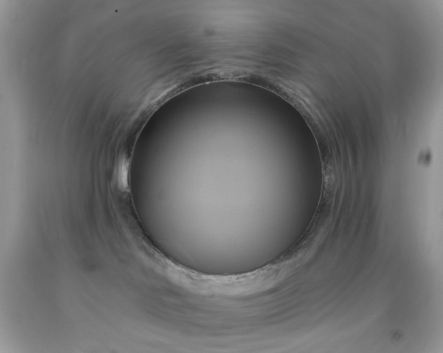 X0000091590046200709051131