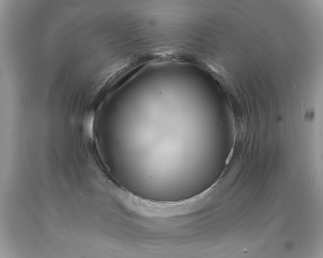 X0000091590047200709051131