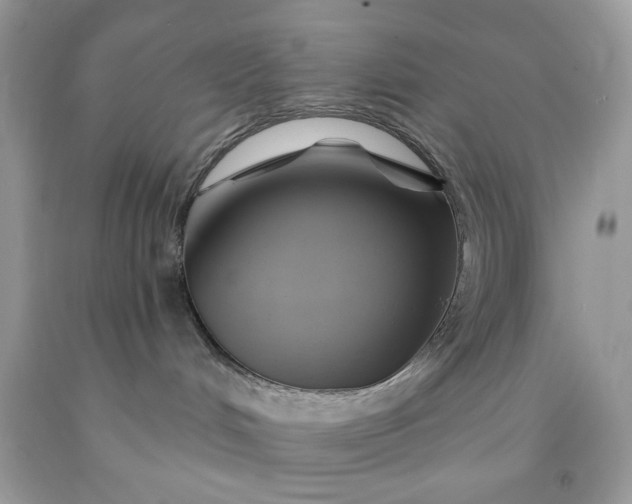 X0000091590048200709051131