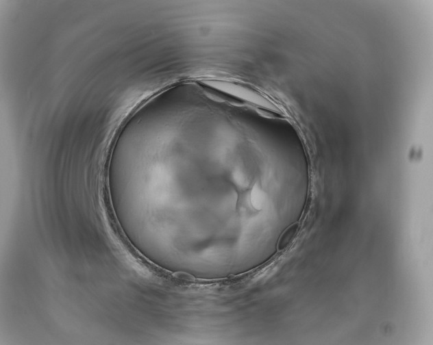 X0000091590049200709051130