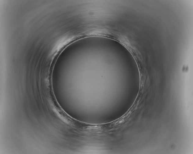 X0000091590050200709051130