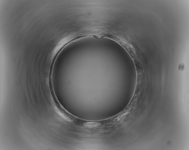 X0000091590051200709051130