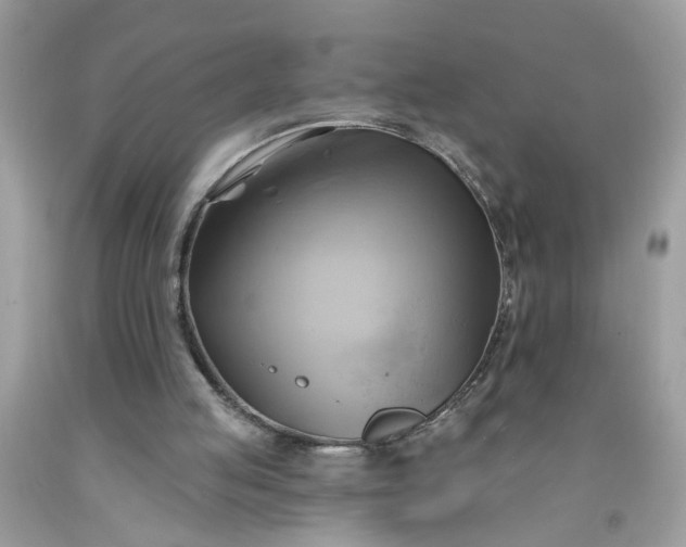 X0000091590053200709051130