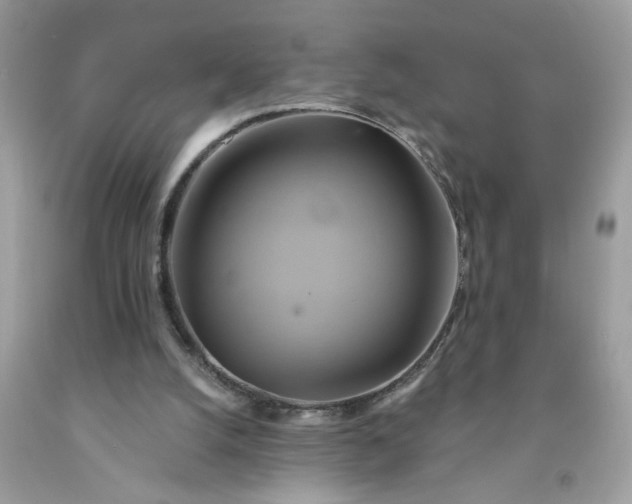 X0000091590056200709051130