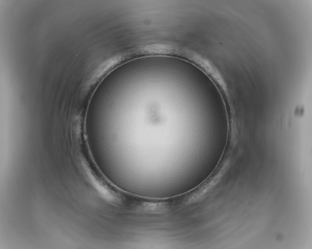 X0000091590057200709051130