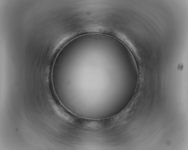 X0000091590058200709051130