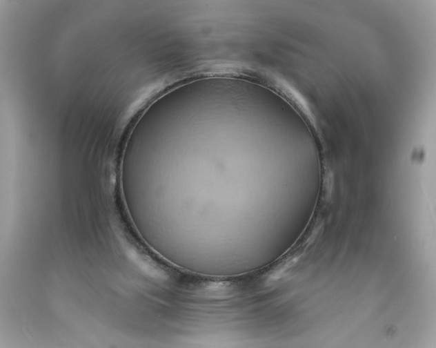 X0000091590059200709051130