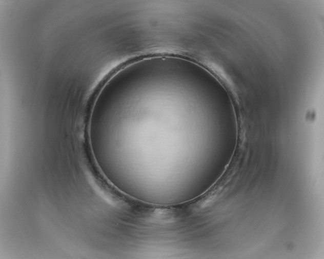 X0000091590060200709051130