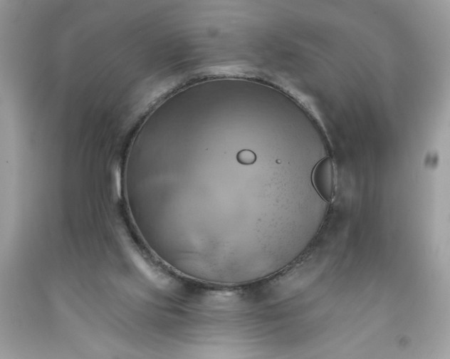 X0000091590061200709051130