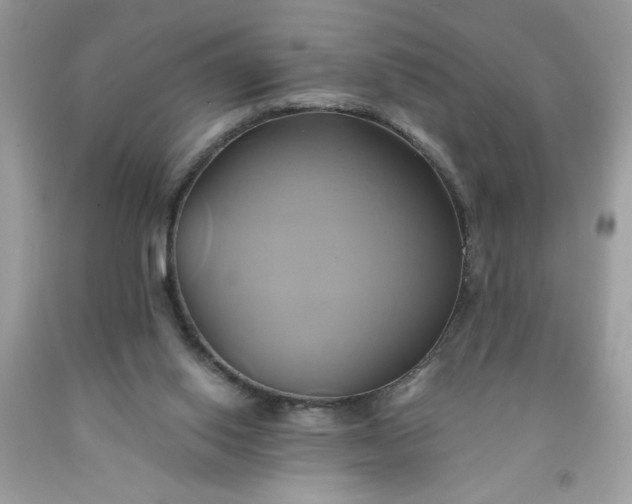 X0000091590062200709051130