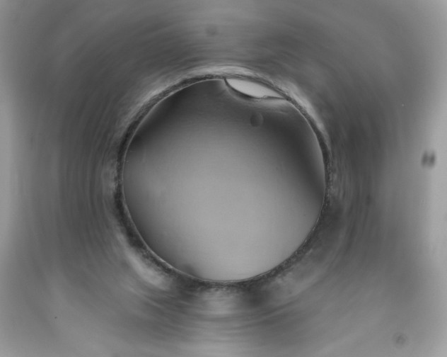 X0000091590063200709051130