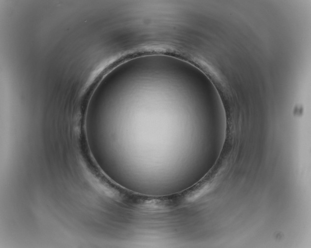 X0000091590064200709051130