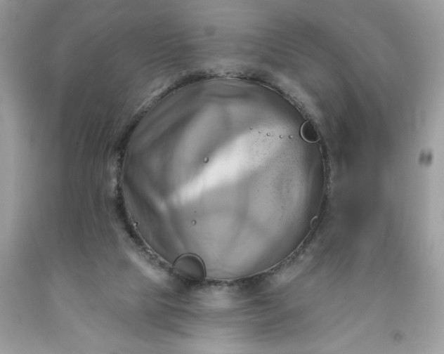 X0000091590065200709051130