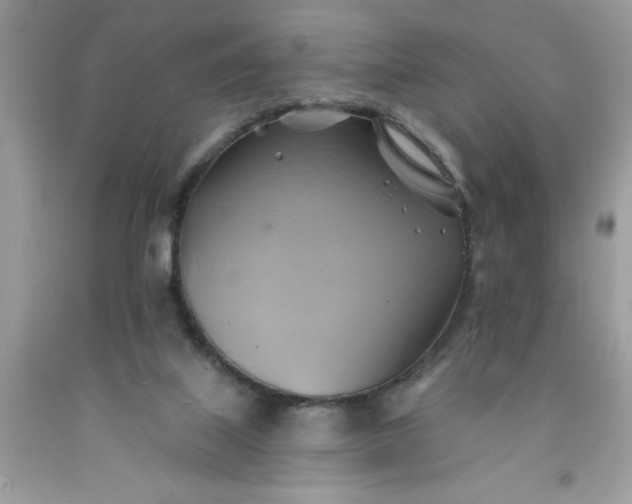 X0000091590067200709051130