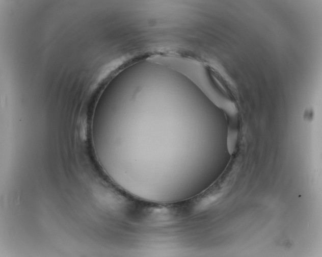 X0000091590068200709051130