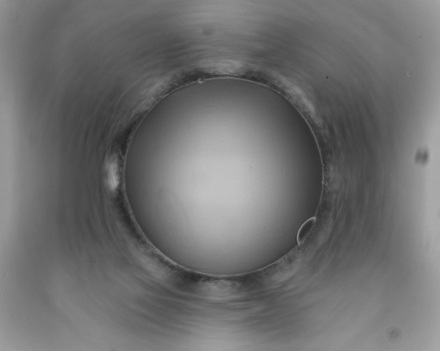 X0000091590069200709051130