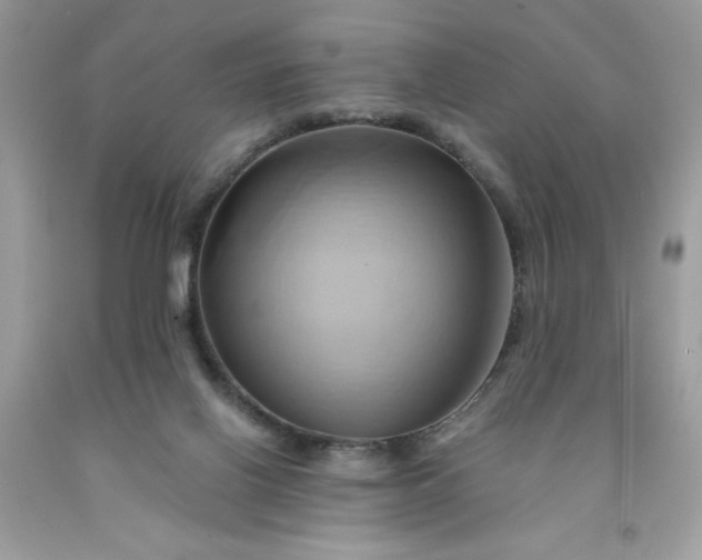 X0000091590070200709051130