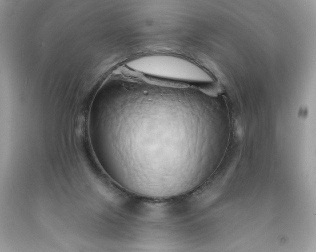 X0000091590071200709051130