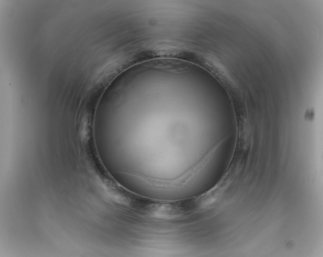 X0000091590074200709051130