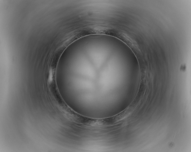 X0000091590075200709051130