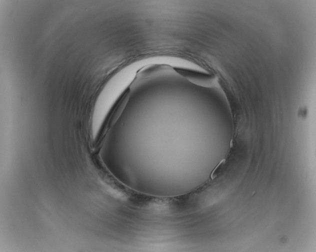 X0000091590076200709051130