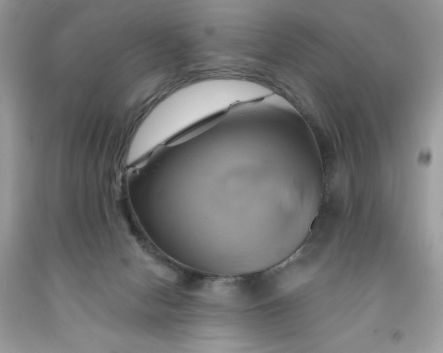 X0000091590078200709051130