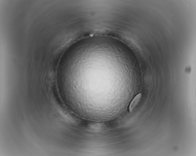 X0000091590079200709051130