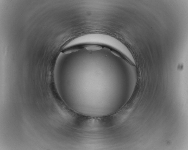 X0000091590080200709051130