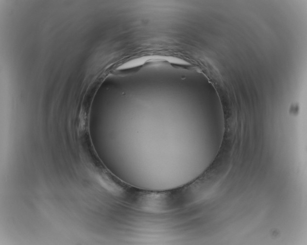 X0000091590081200709051130