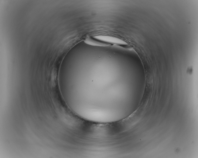 X0000091590082200709051130