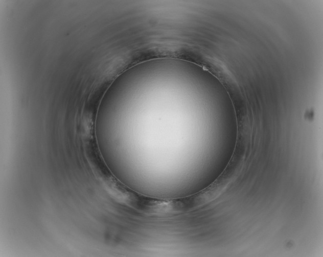 X0000091590083200709051130