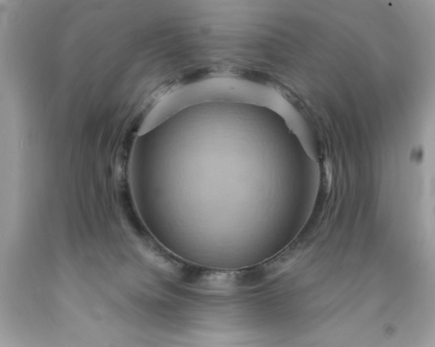 X0000091590084200709051130