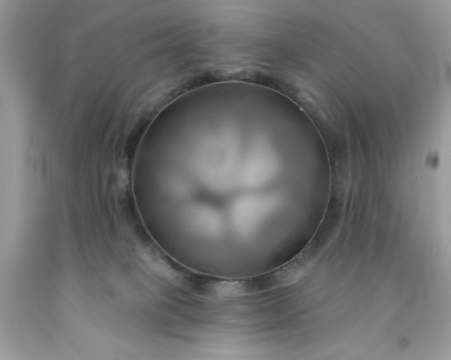 X0000091590085200709051130