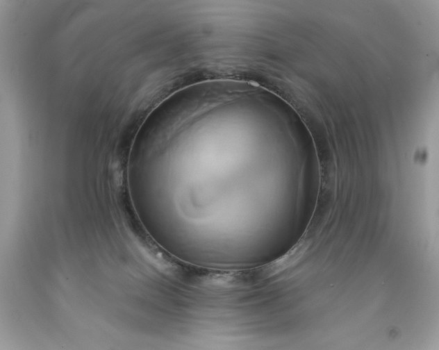 X0000091590086200709051130