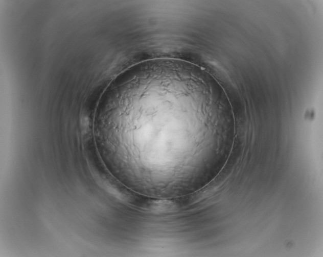 X0000091590087200709051130