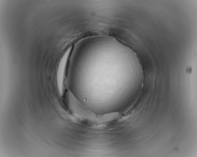 X0000091590088200709051130